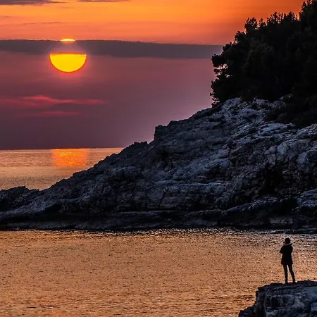 Twins Markovic Apartament