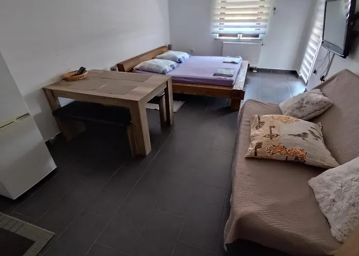 Twins Markovic Apartman *