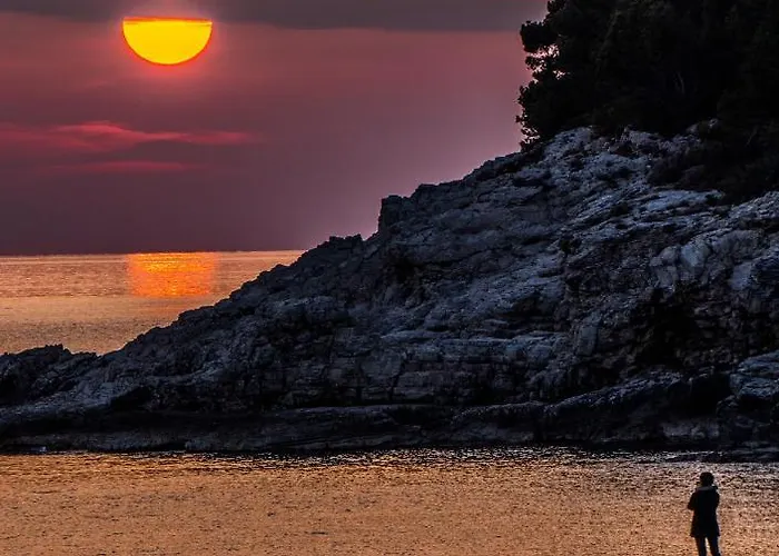 Twins Markovic Apartment